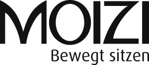 Logo Moizi